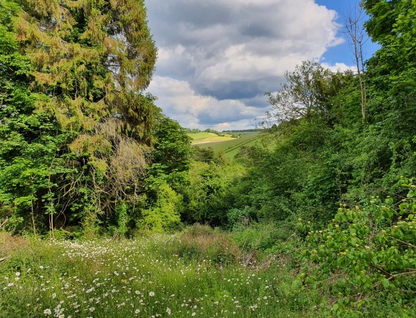 Secluded consented sloping plot of land, Surrey